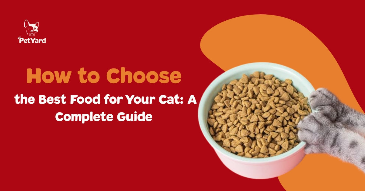 How to Choose the Best Food for Your Cat: A Complete Guide