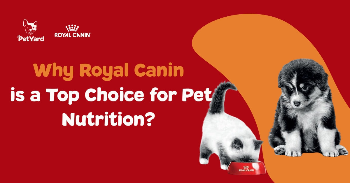 Why Royal Canin is a Top Choice for Pet Nutrition?