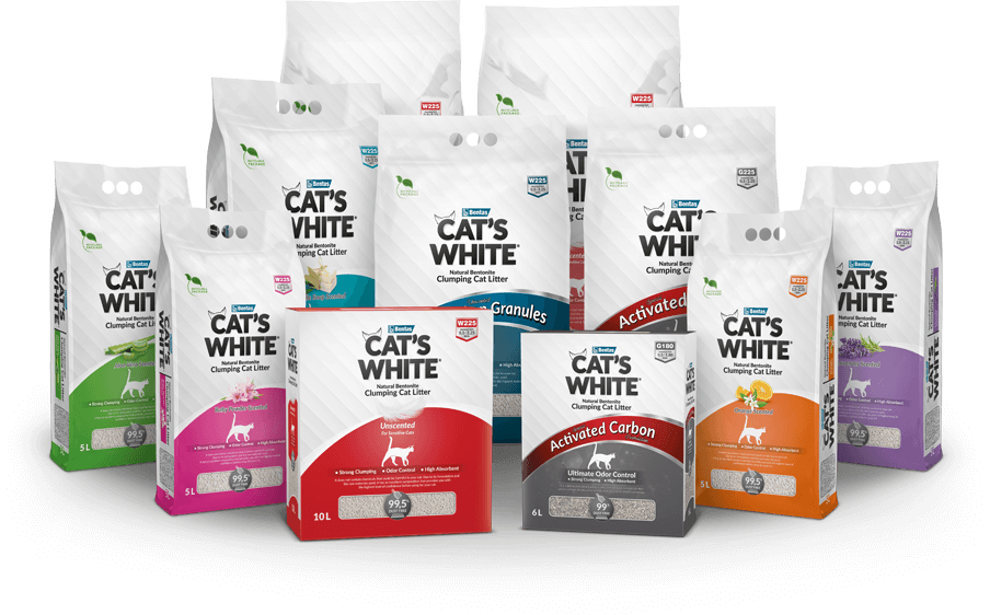 Cat’s White