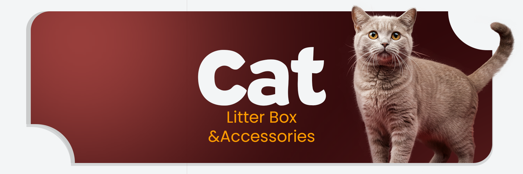 Cat Litter Box & Accessories