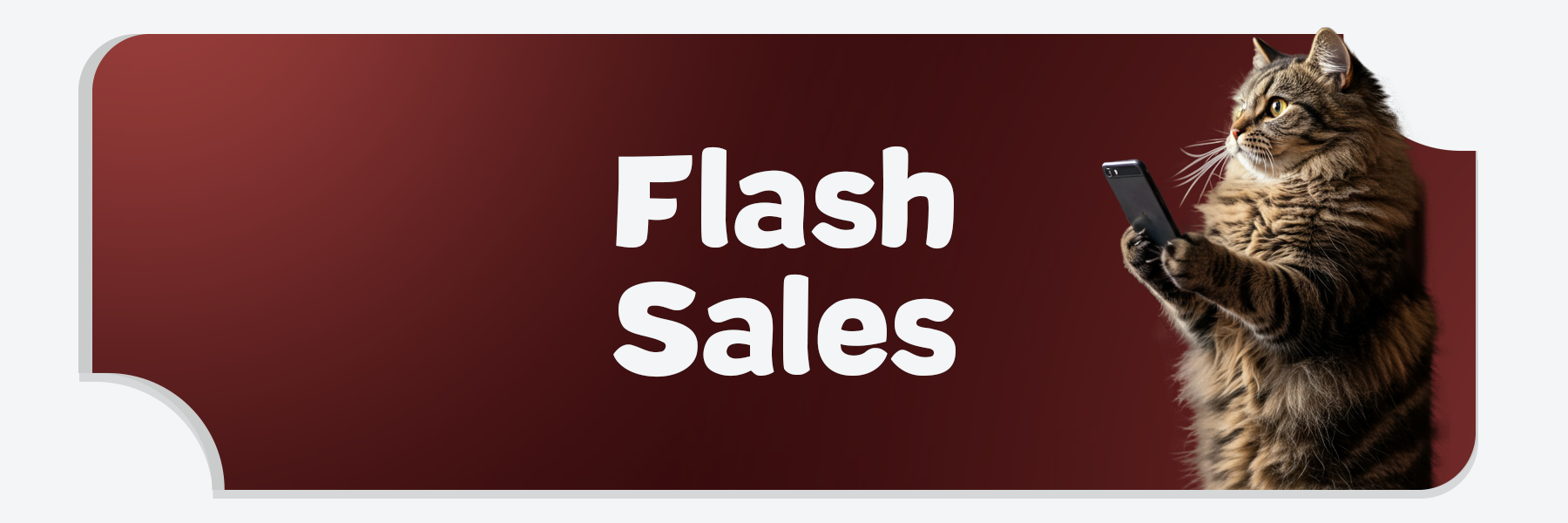 Flash Sales