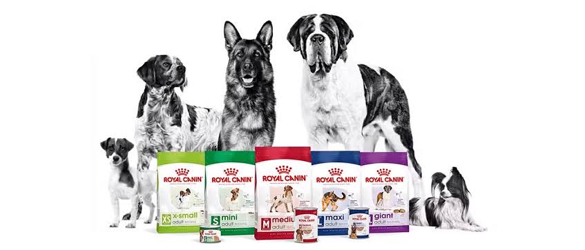 Royal Canin Dog