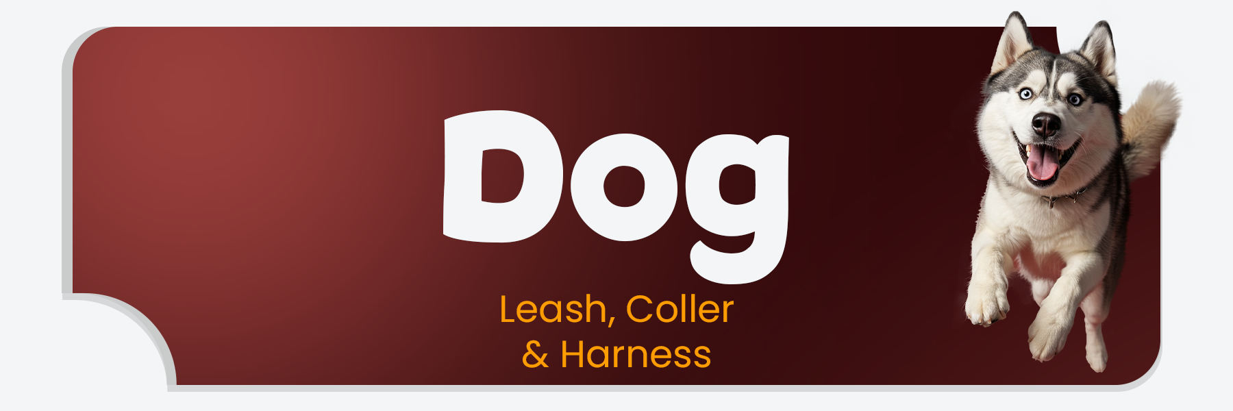 Dog Leash, Coller and Harness