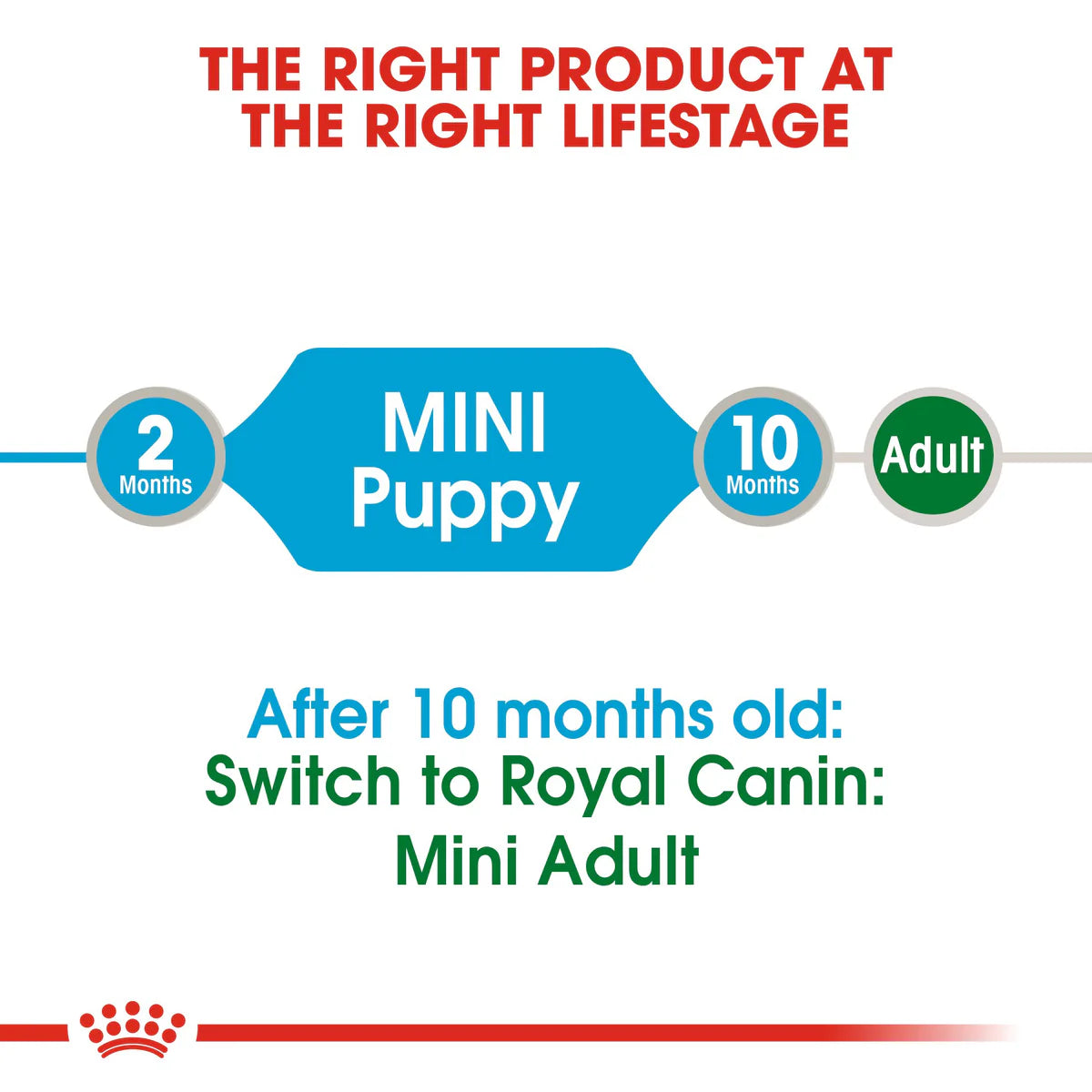 Royal Canin Mini Puppy in Gravy (85 gm\pouch) - wet food for small dogs - Adult weight up to 10 KG From 2 to 10 months old