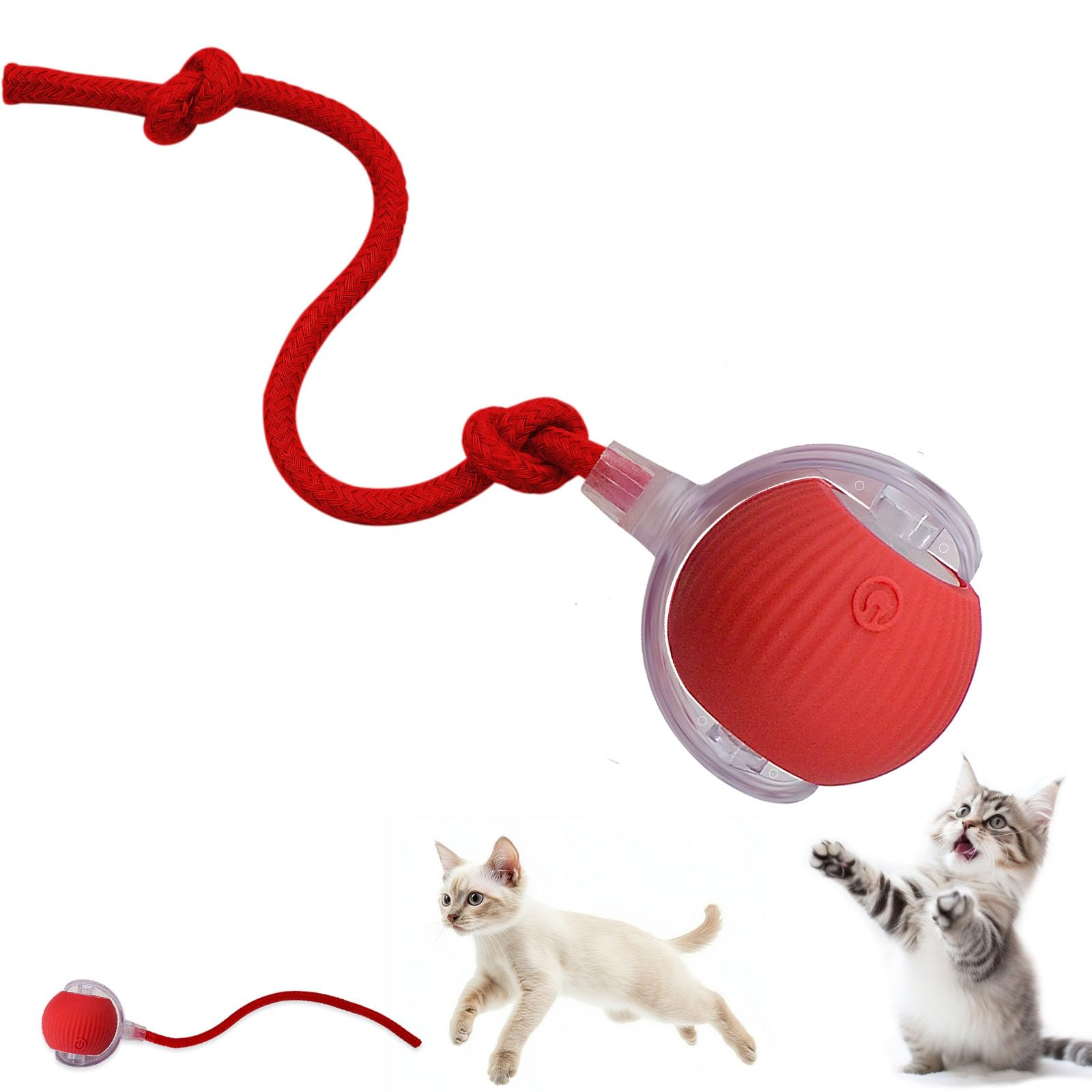 Crazy Pet Ball Toy for Cats & Dogs