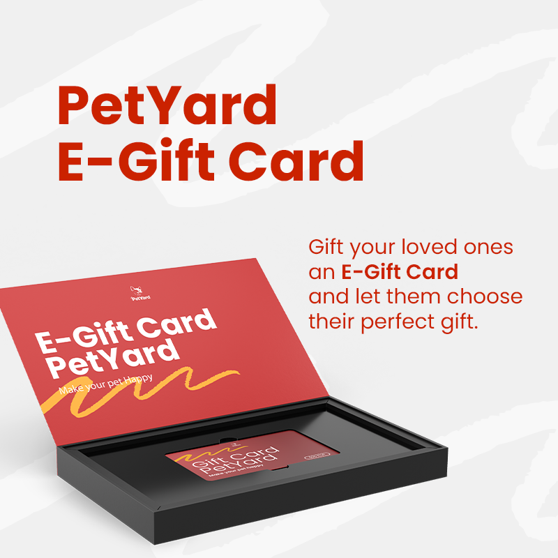 E-Gift Card