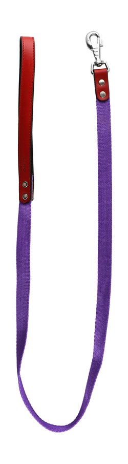 Lino Medium Dog Leash with Leather Handle