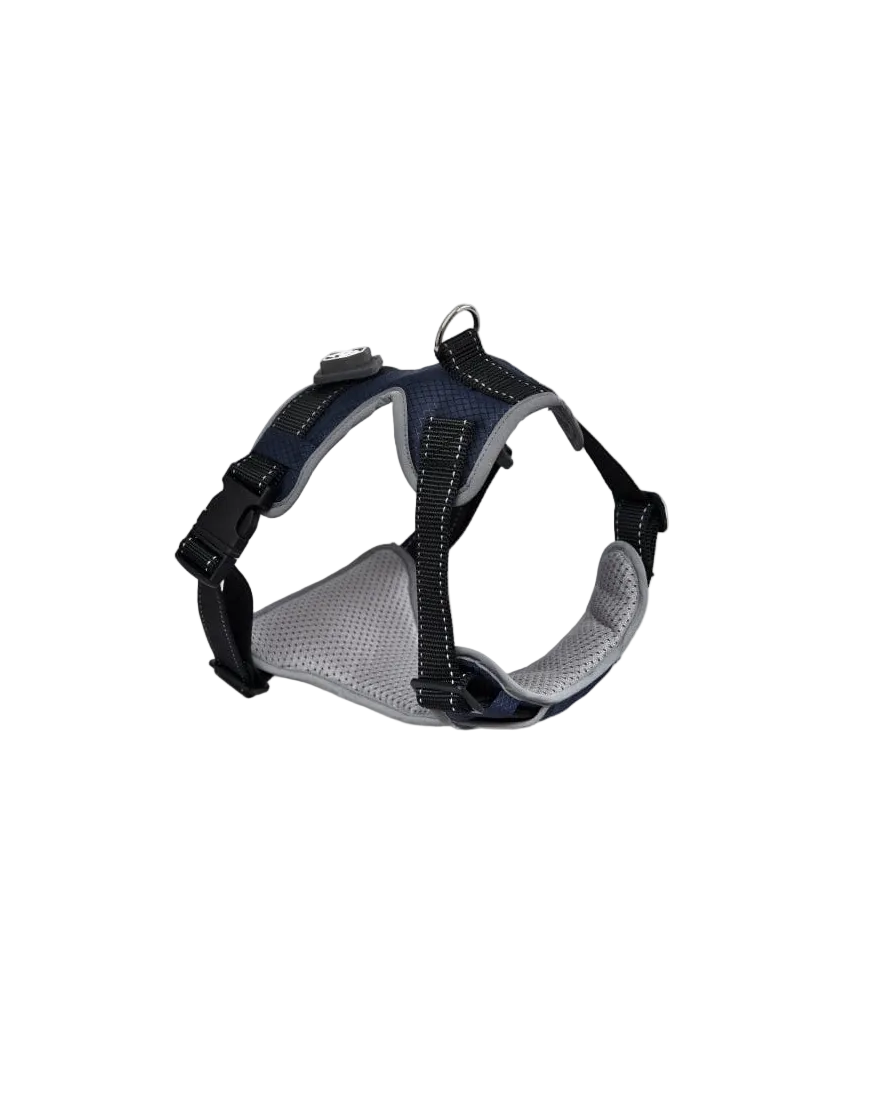 Naomi Dog Harness L
