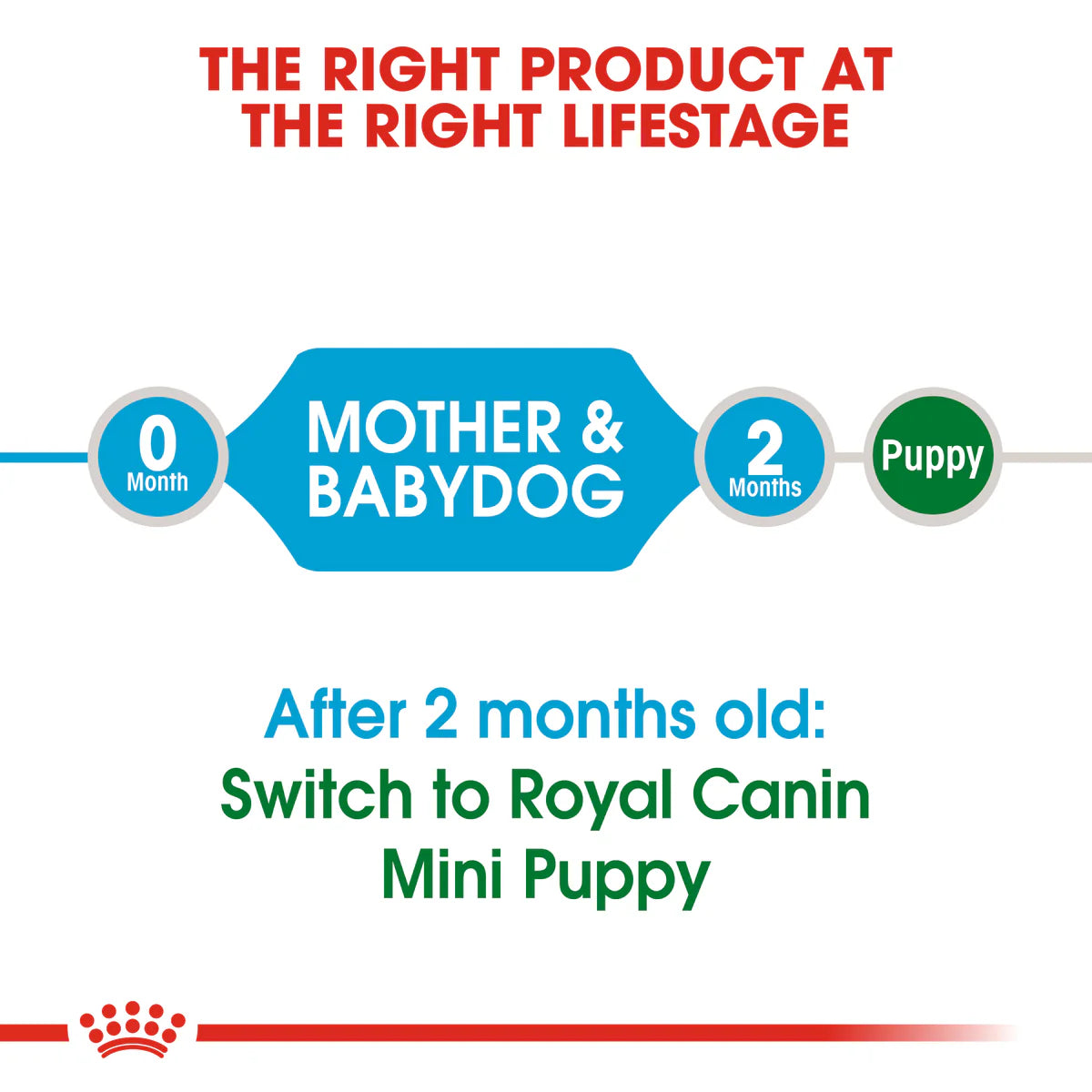 Royal Canin Mini Starter Mother & Babydog (1 KG) - Dry food for mini puppies.