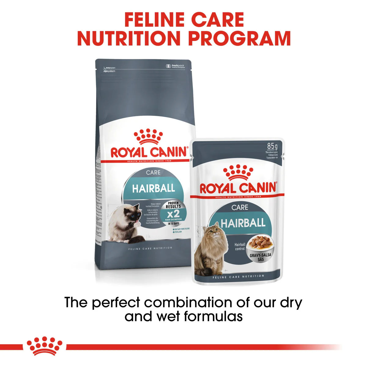 Royal Canin Hairball care (85gm\ Pouch) - Wet food for adult cats