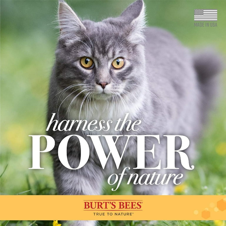 Burt’s Bees Hypoallergenic Shampoo for Cats Shea Butter and Honey 296ml