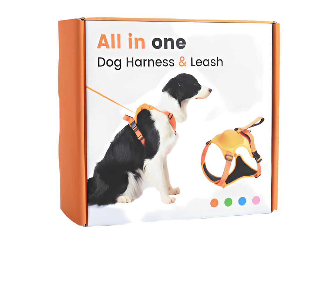 All in One Dog Harness Leash XL (Orange) - Main Image