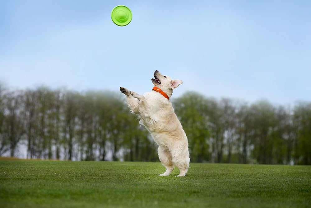 Flyer Dog Toy by Flyber - Floating Disc Toy 9-inch for Outdoors and Indoors Games.