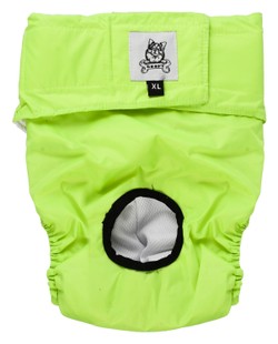 Goofy Female Diaper XL