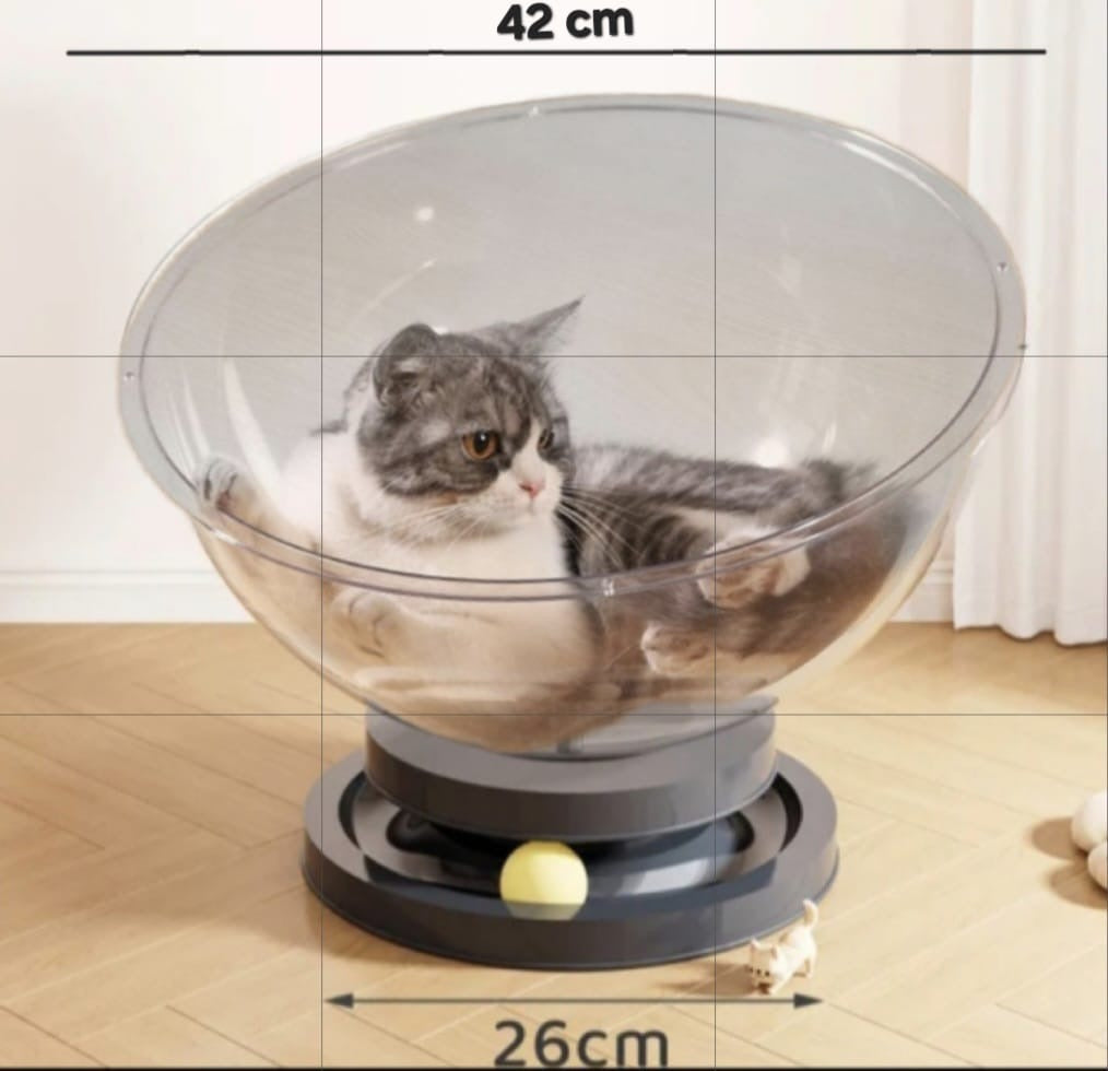 Cat Bed and Ball Track Toy