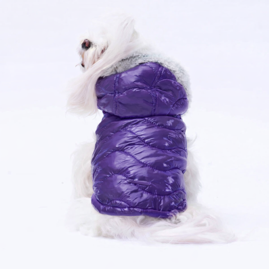 Purple Padded Winter Dog Jacket with Fur Hood