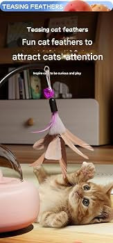 Automatic Cat Teaser Toy - Interactive Cat Toy with Laser - Random Color