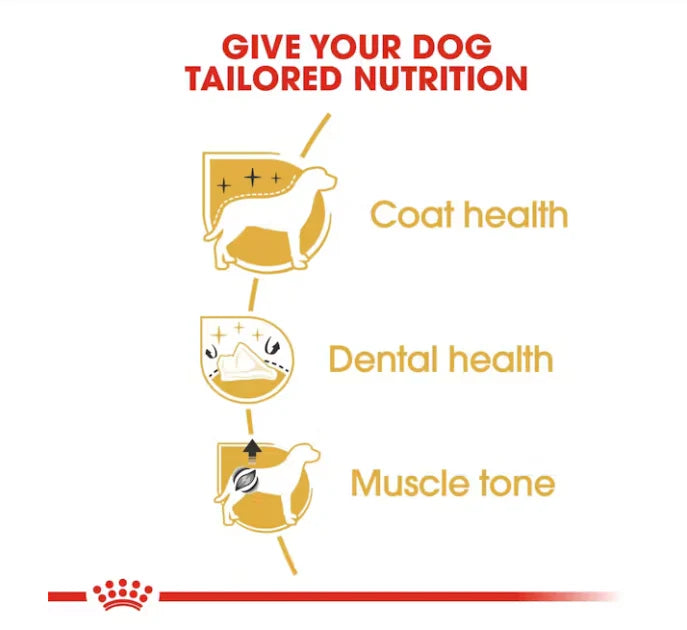 Poodle Adult Dog Dry Food 3KG