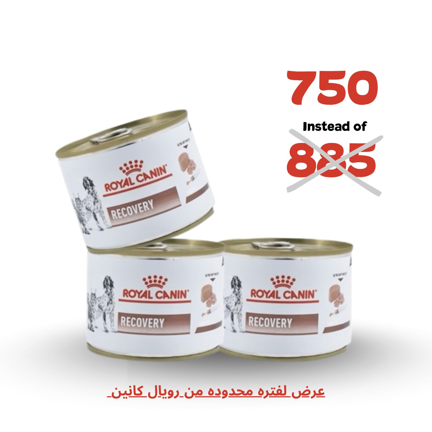 Royal Canin Recovery Can 195g (Buy 2, Get 1 Free)