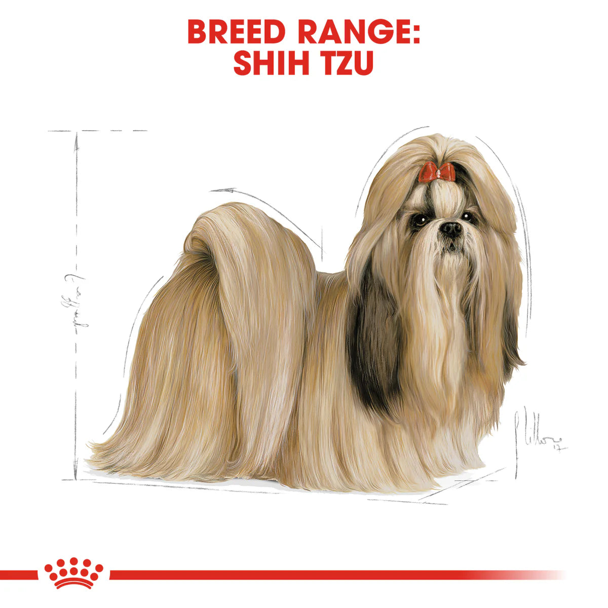 Royal Canin Shih Tzu Adult (1.5 KG) – Dry food for adult dogs