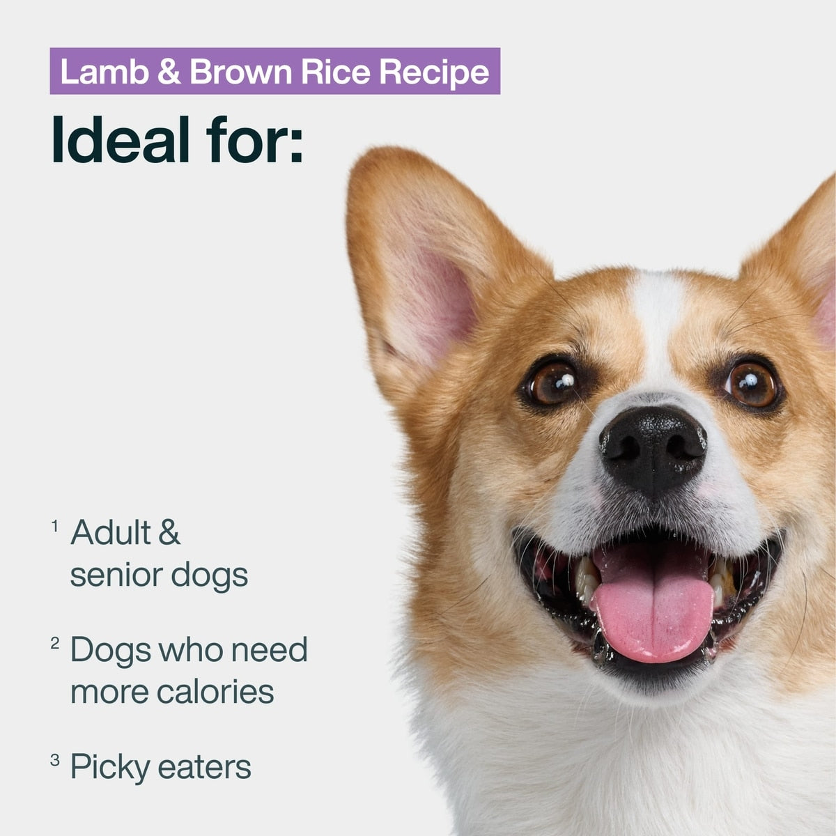 JustFoodForDogs Pantry Fresh Lamb & Brown Rice Fresh Dog Food, 354G pouch