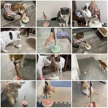 Automatic Cat Teaser Toy - Interactive Cat Toy with Laser - Random Color