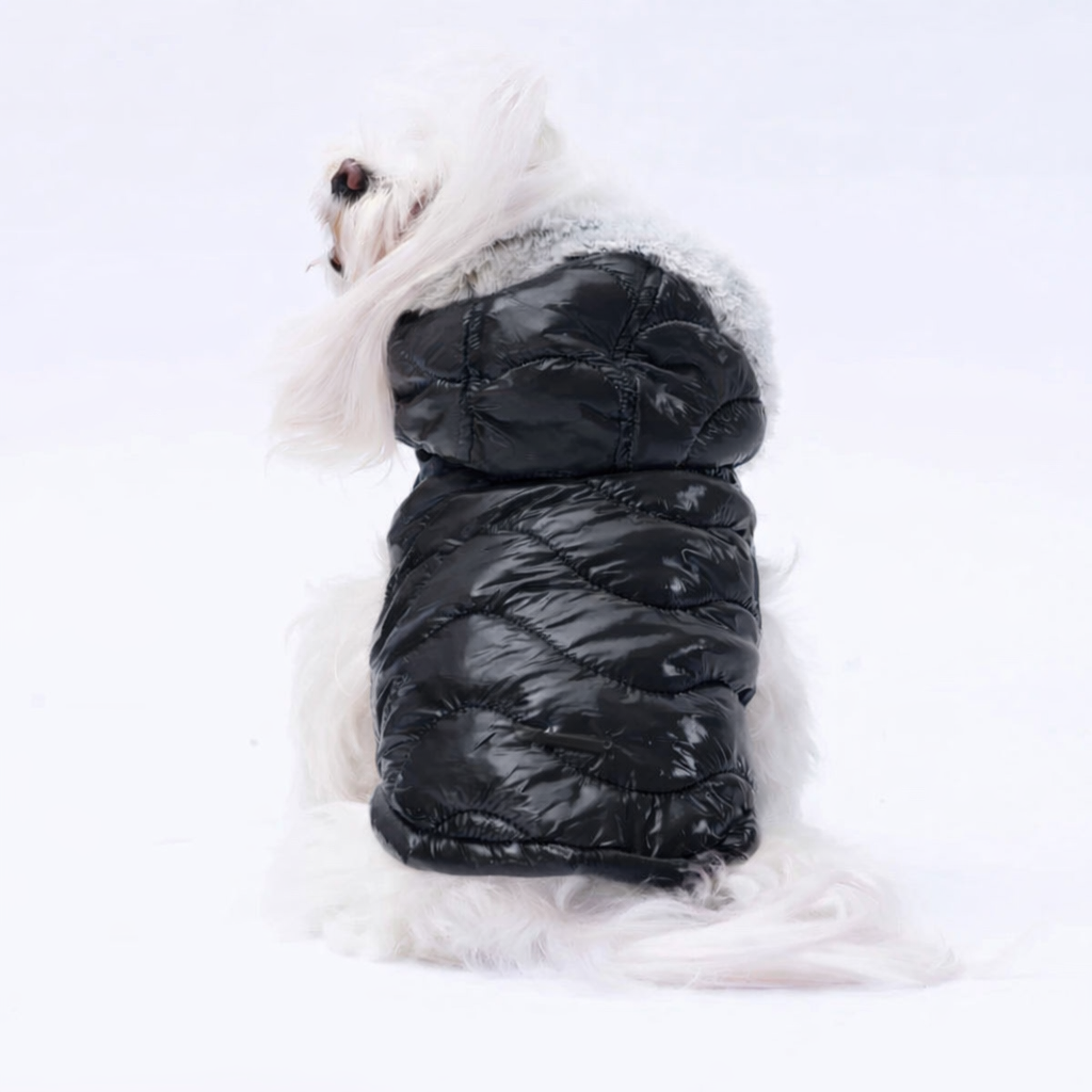 Black Padded Winter Dog Jacket with Fur Hood