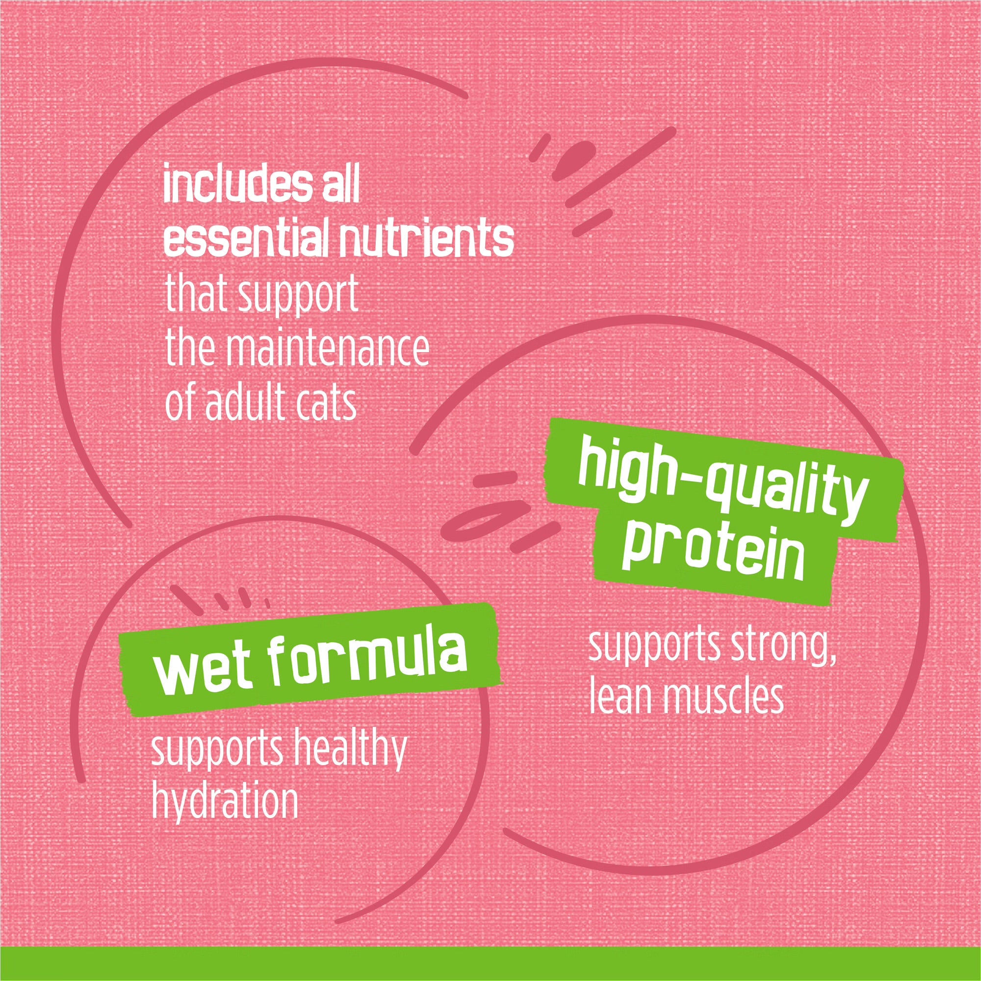 Friskies Paté Salmon Dinner Wet Cat Food 156G