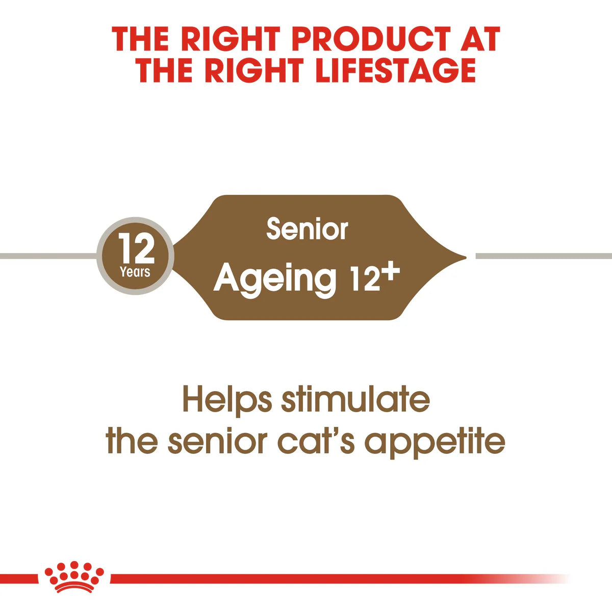 Royal Canin Ageing +12 (2KG) for Senior cats over 12 years old