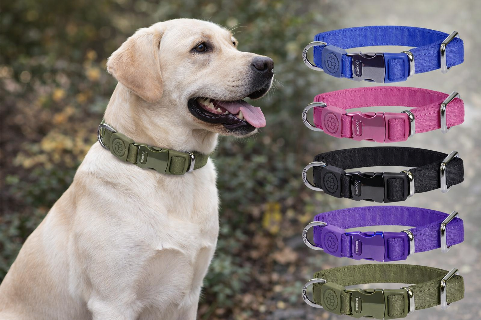 DOGNESS Teflon Collar M (2.0x32-48cm)