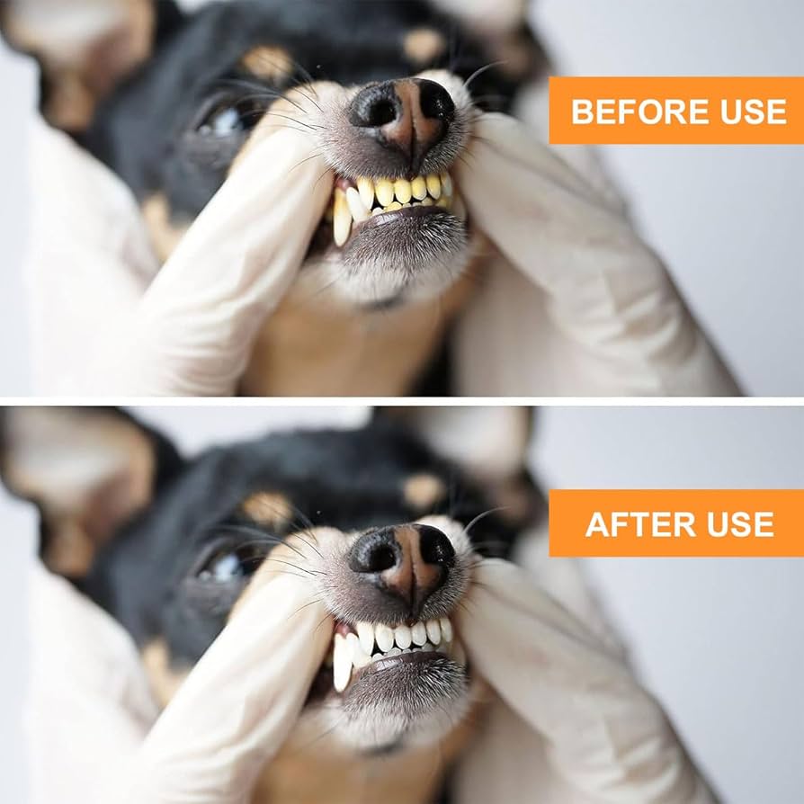 Dog Dental Care Toothpaste Beef Flavor – Oral Care for Dogs (95g)