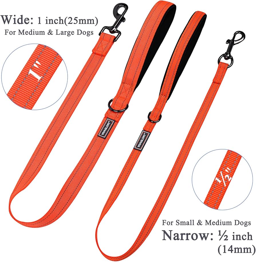 Petique Dog Leash For Small & Medium Dogs