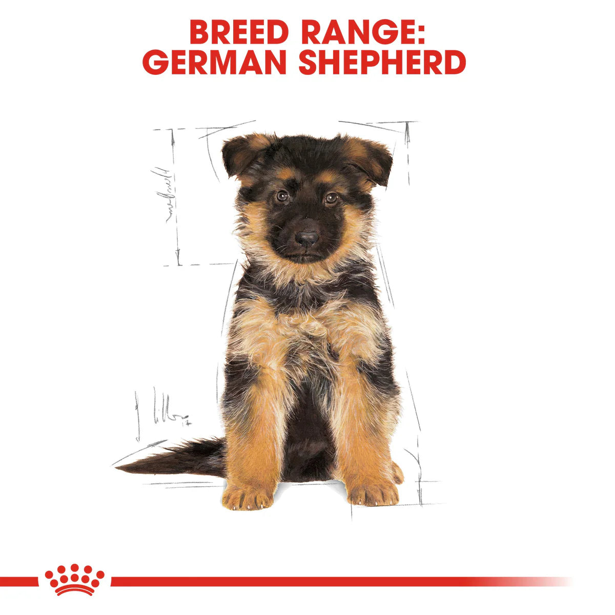 Royal Canin German Shepherd Puppy (3 KG) - Dry food for puppies