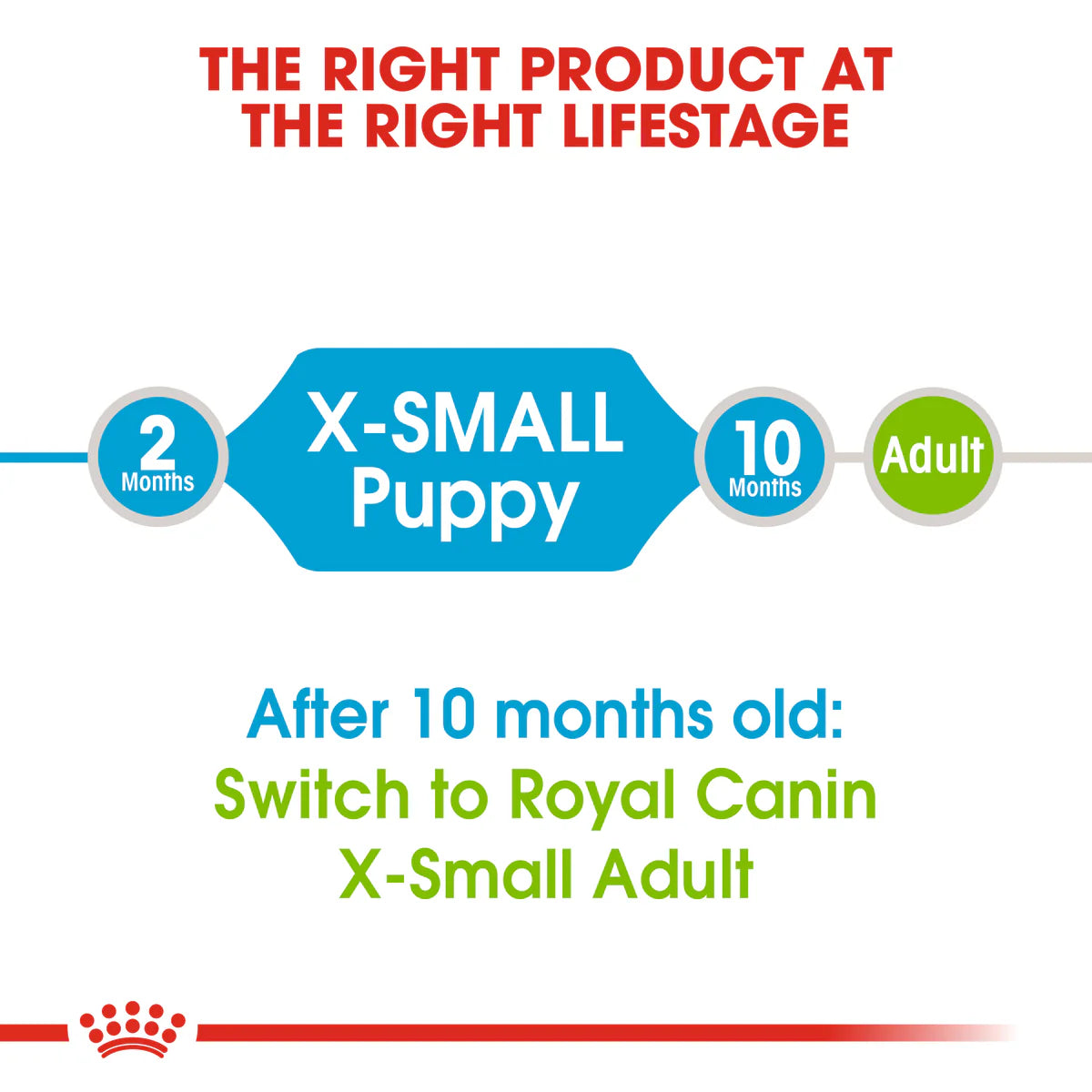 Royal Canin X-Small Puppy (1.5 KG) - Dry food for very small dogs - Adult weight up to 4 KG