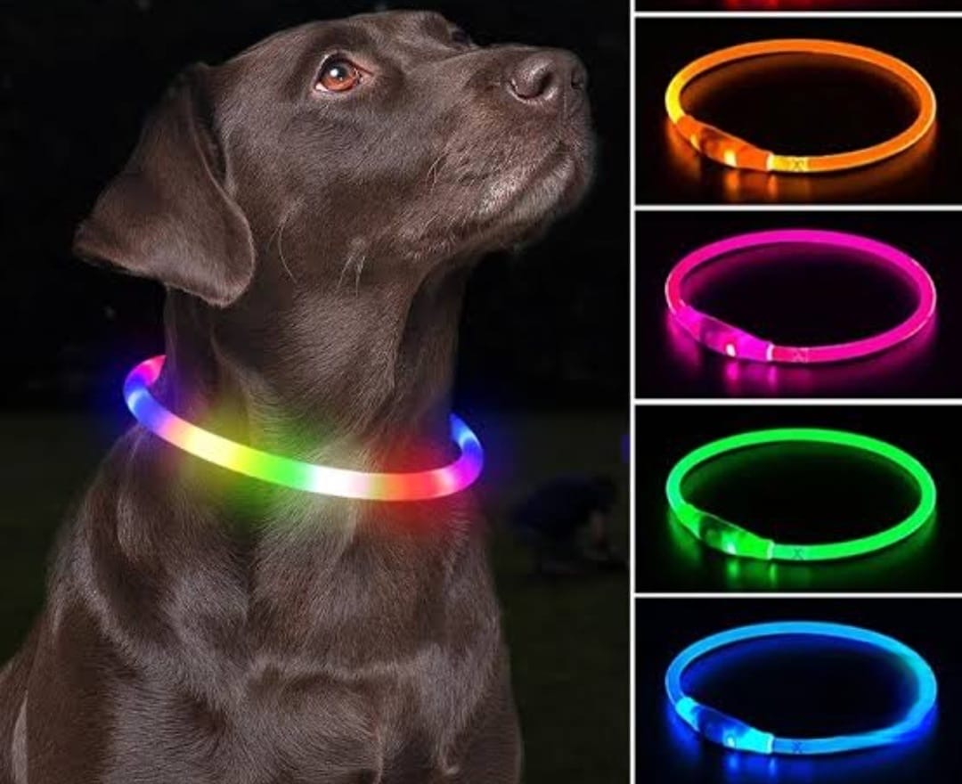 USB Rechargeable LED Luminous Dog Collar – Glow in the Dark Safety Necklace