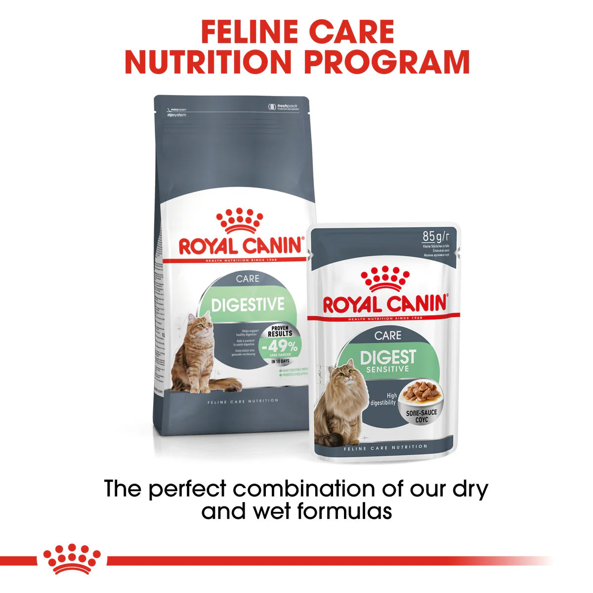Royal Canin Digestive in Gravy (85 gm\Pouch) - Wet food for Cats