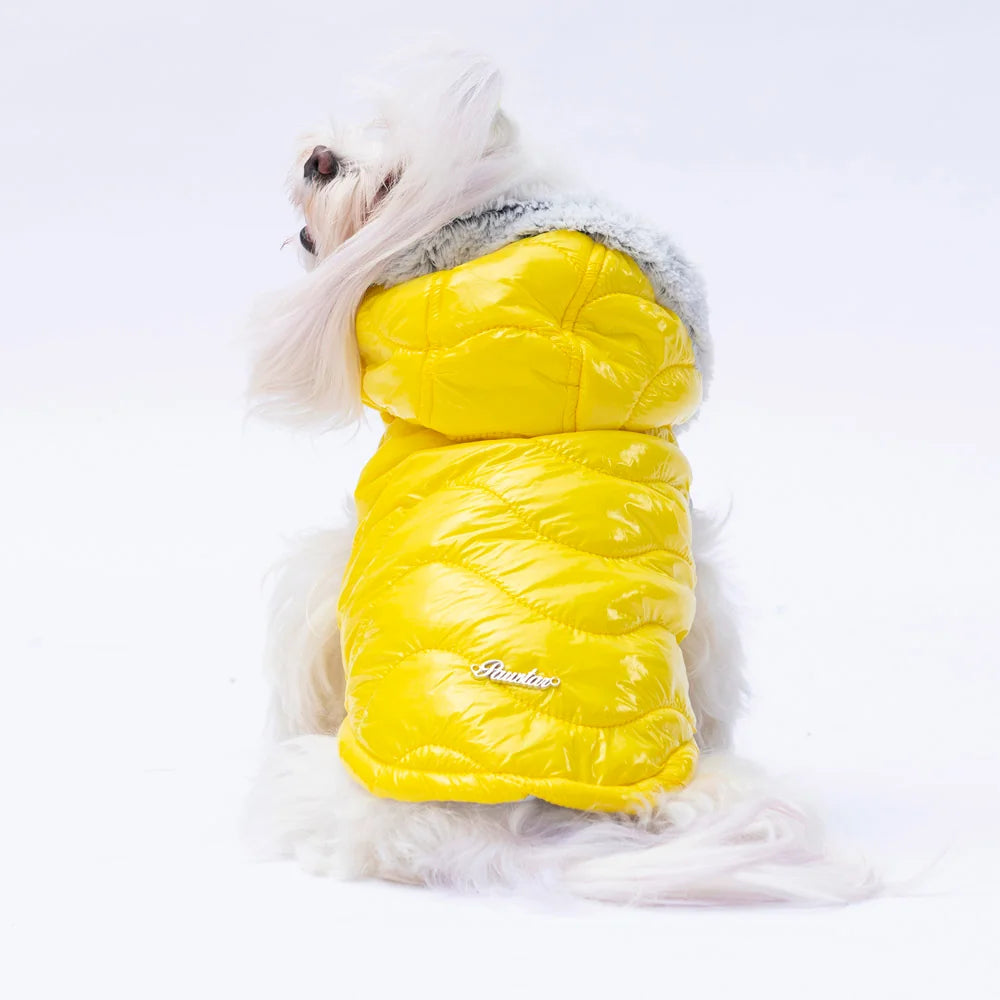 Yellow Padded Winter Dog Jacket with Fur Hood (S)