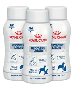 Royal Canin Recovery Liquid 200mlx3