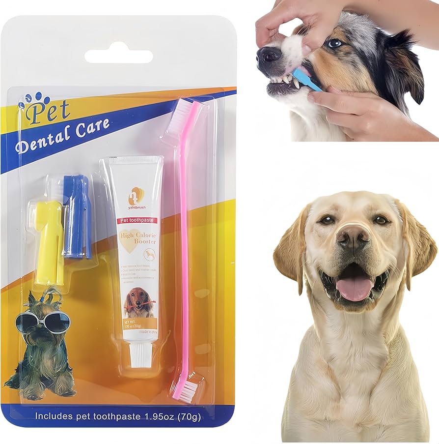 Pet Dental Care Kit – Toothpaste & Toothbrush Set for Dogs & Cats (70g)