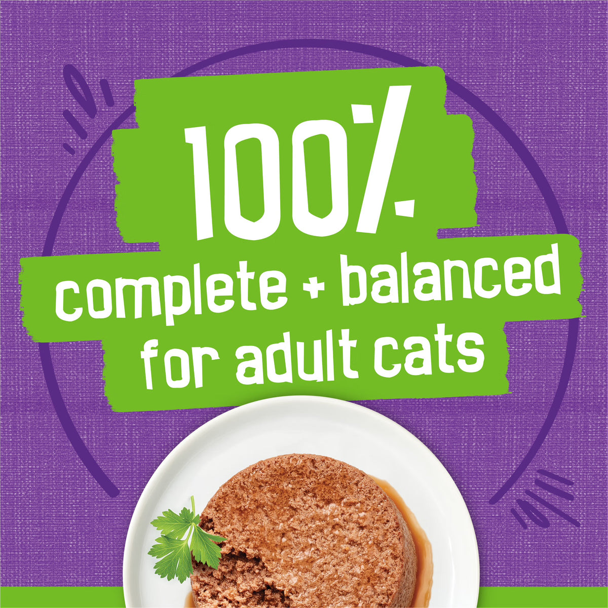 Friskies Paté Turkey & Giblets Dinner Wet Cat Food 156G