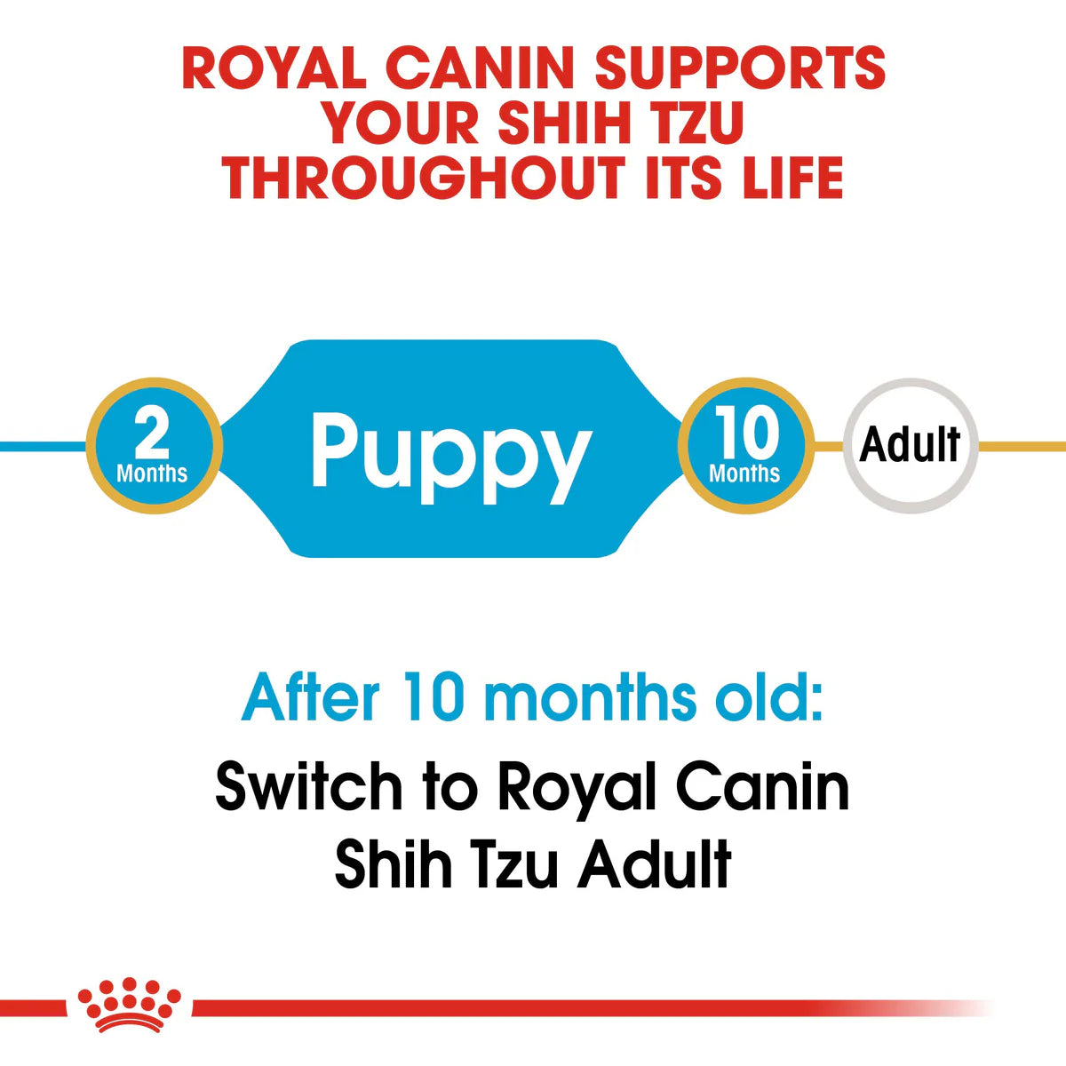 Royal Canin Shih Tzu Puppy (1.5 KG) - Dry food for puppies