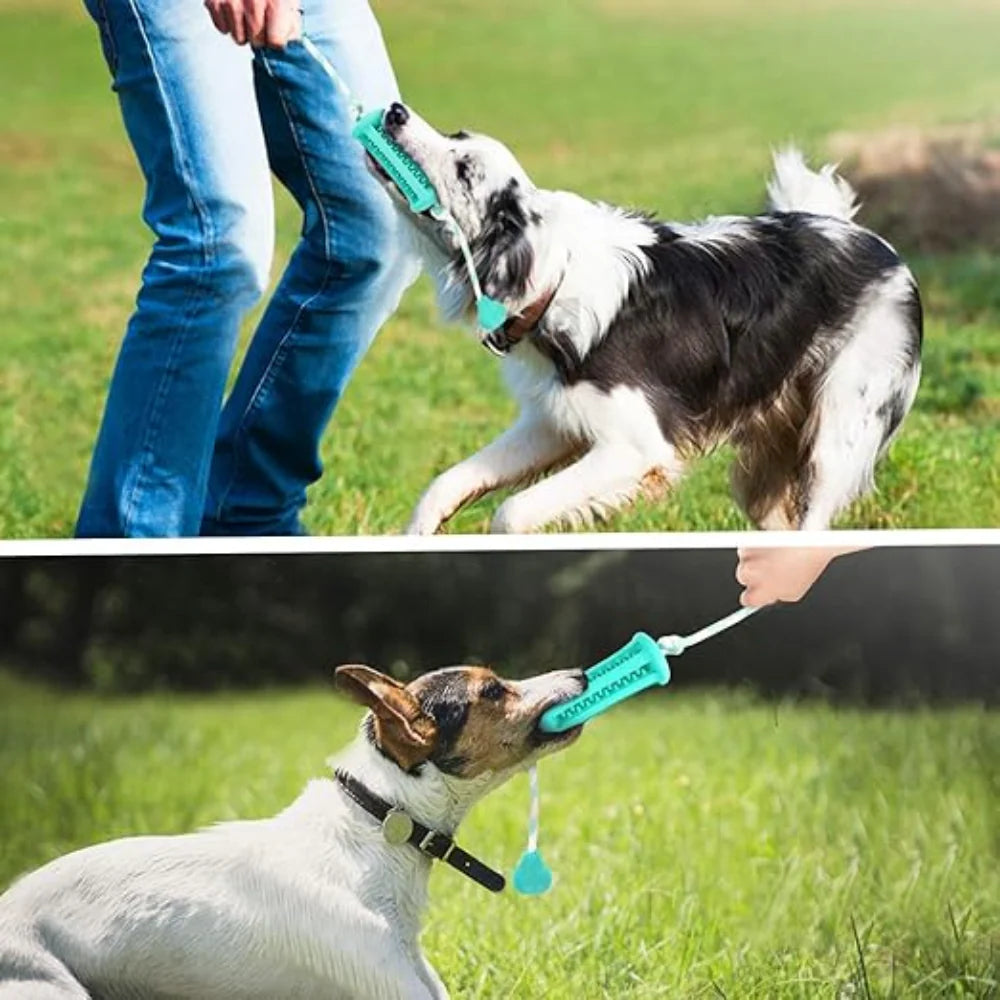 Nunbell Dog Chew Toy with Rope