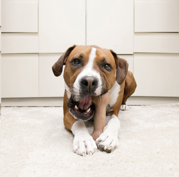 KONG Ultra ChewStix Large Teething Dog Chew Toy 27-54KG Dogs