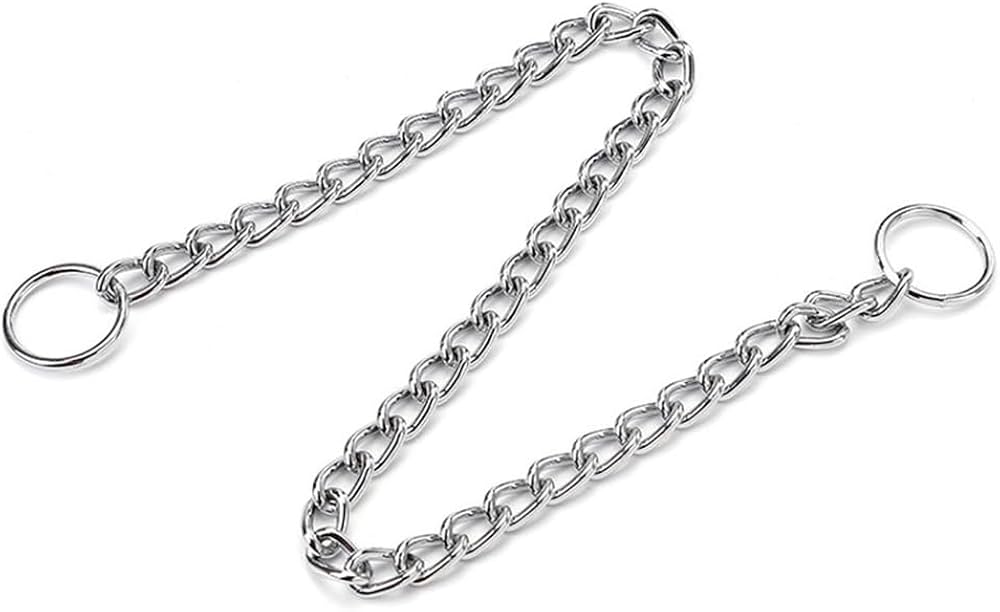 Heavy Duty Metal Dog Slip Collar for Medium Large Dogs