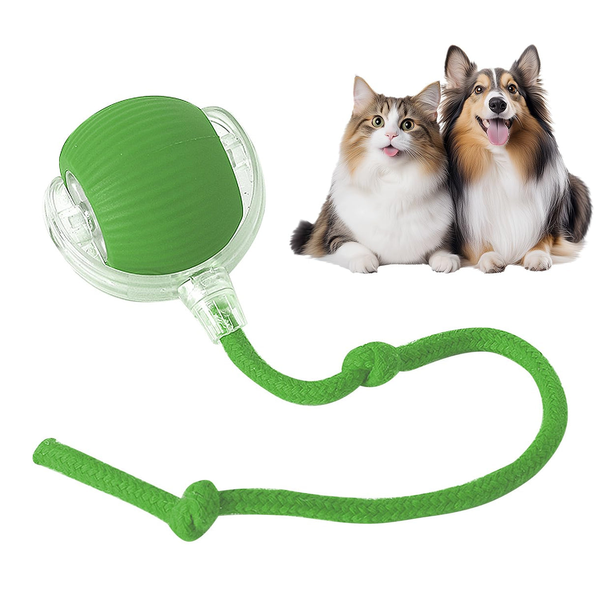 Crazy Pet Ball Toy for Cats & Dogs