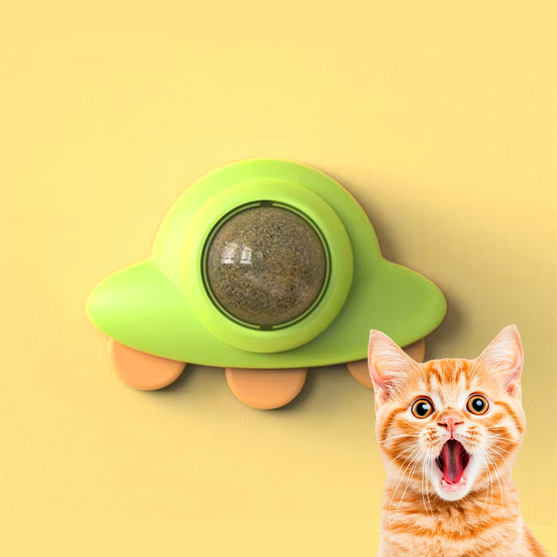 Wall Catnip Interactive Toy – Rolling Ball Chew Toy for Cats