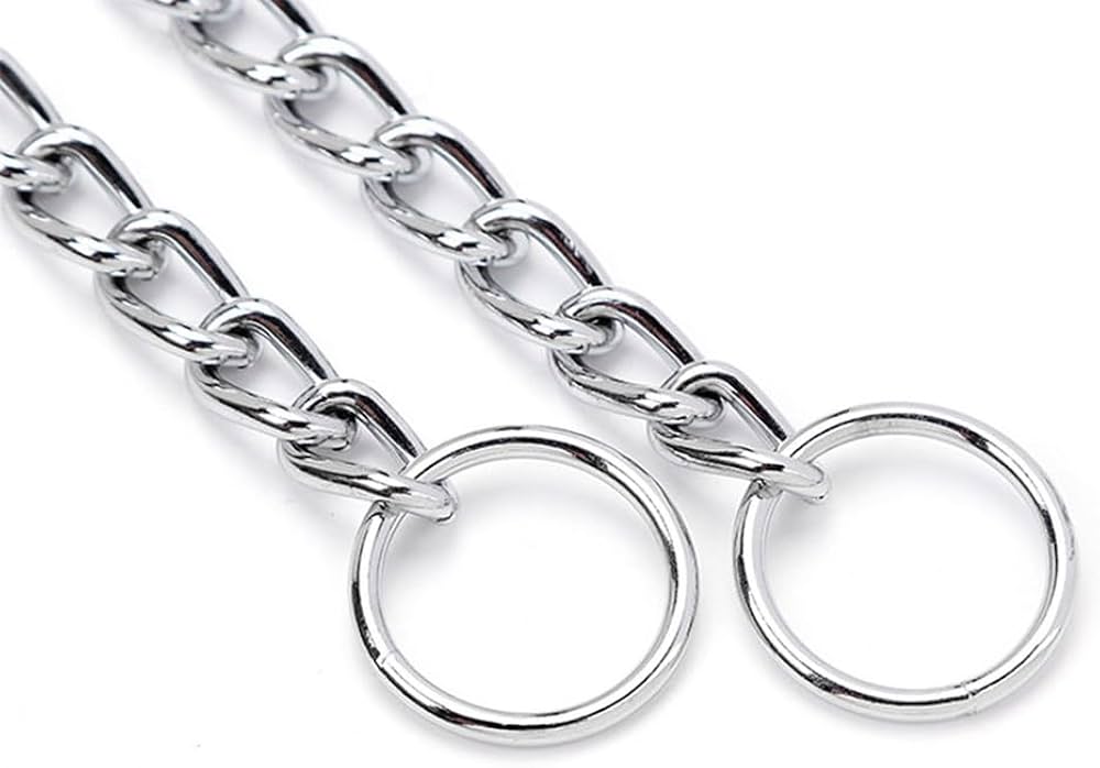 Heavy Duty Metal Dog Slip Collar for Medium Large Dogs