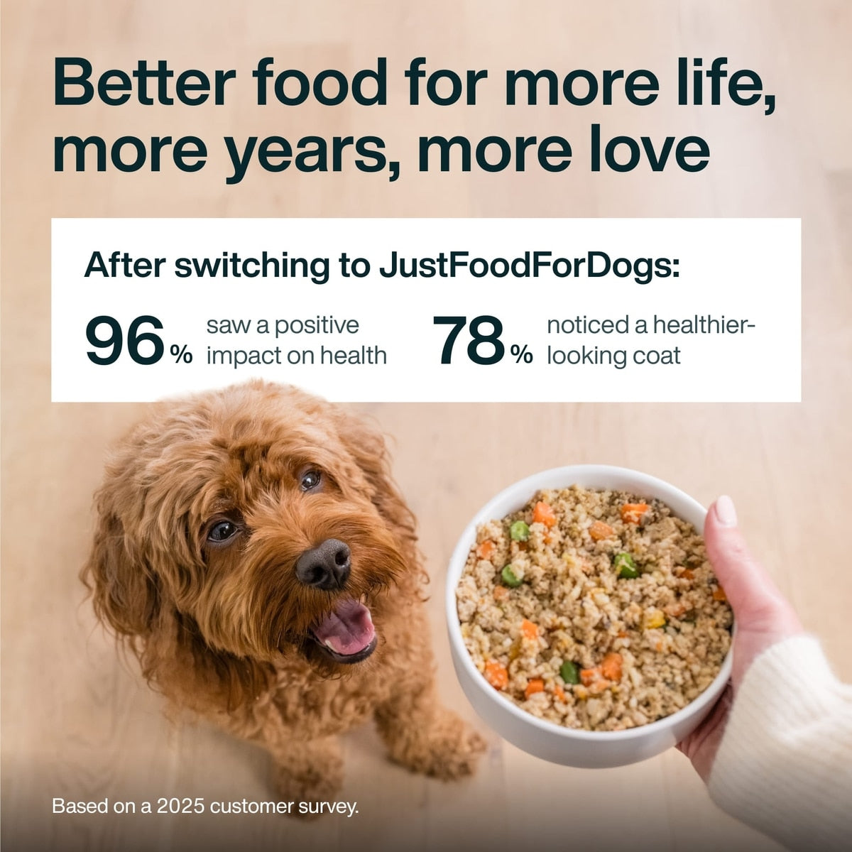 JustFoodForDogs Pantry Fresh Lamb & Brown Rice Fresh Dog Food, 354G pouch