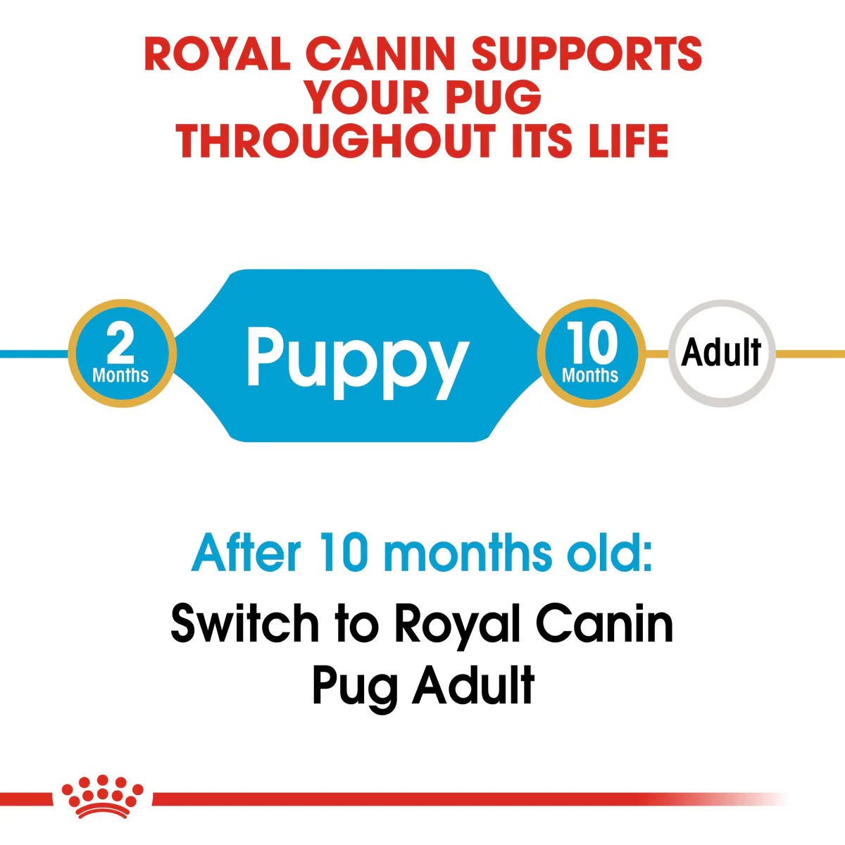 Royal Canin Pug Puppy (1.5KG)