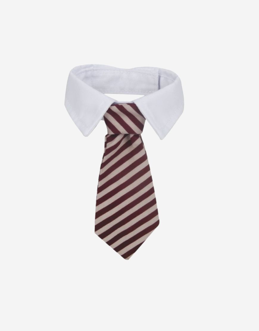 Naomi – YJ85770 Pet Scarf